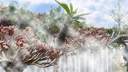 Internationale Blumenausstellung Shanghai 2026