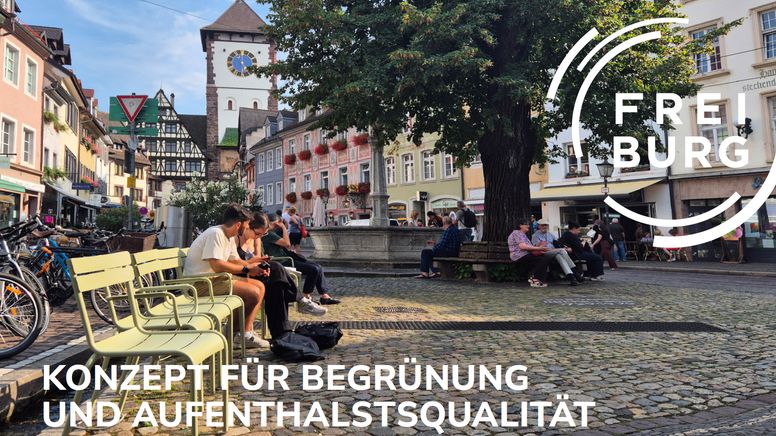 Konzept für Begrünung und Aufenthaltsqualität in der Freiburger Innenstadt