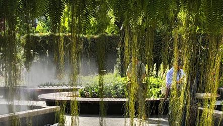 Shanghai International Flower Show 2025